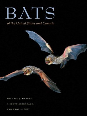cover image of Bats of the United States and Canada